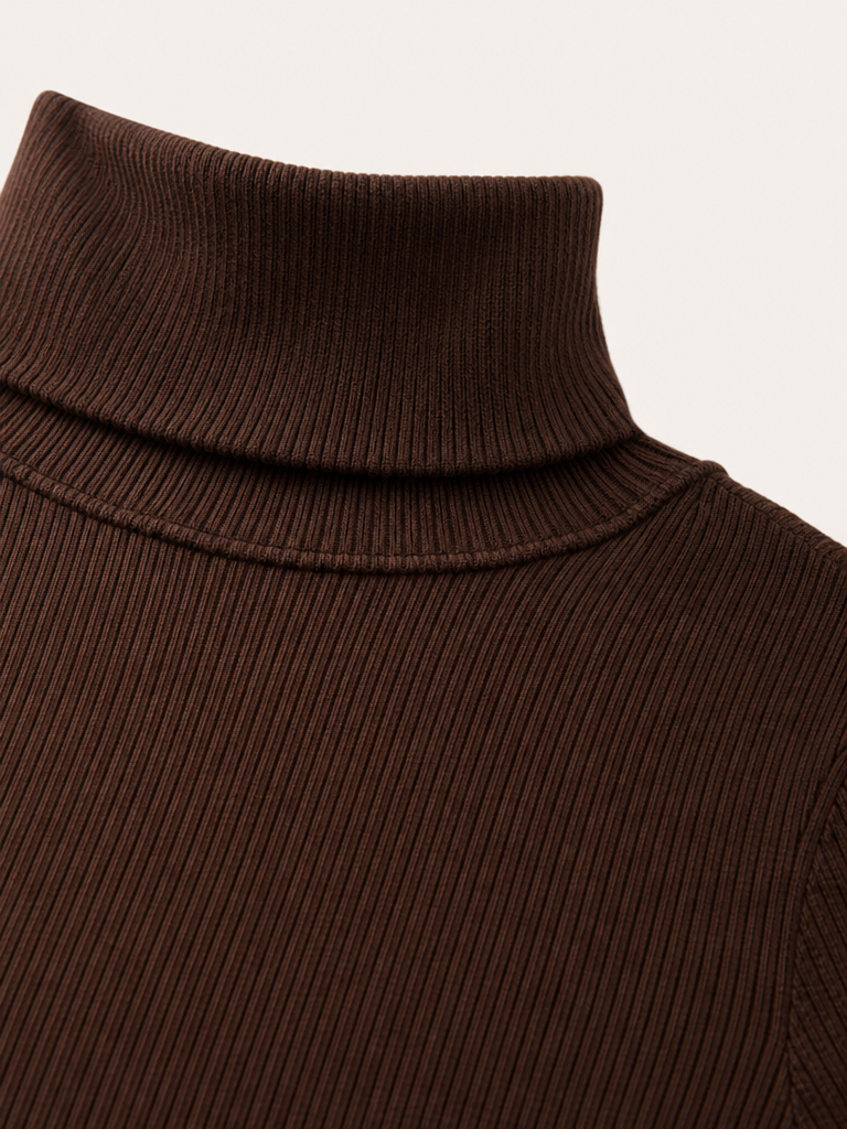 Cropped Fitted Turtleneck detail